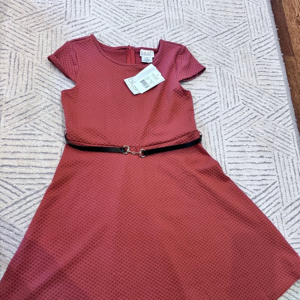 NWT Blush Brand Rust Colored Dress with Black Belt - Kids 16